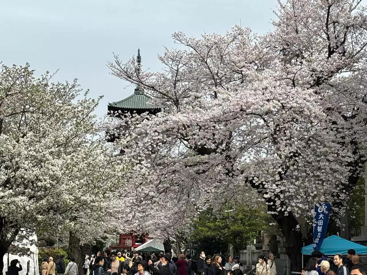 РБК Приморье