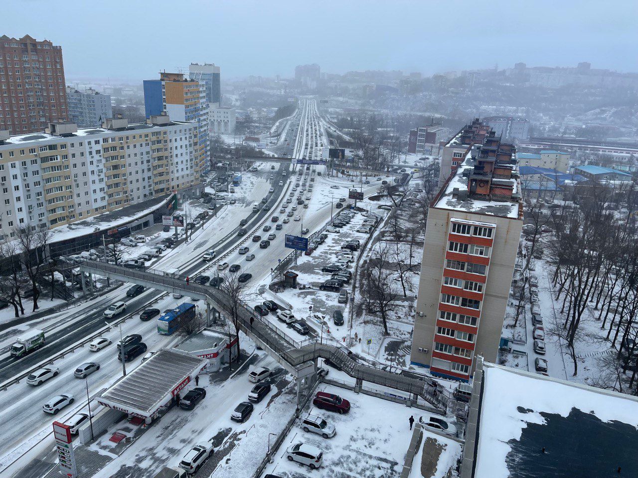 Фото: РБК Приморье