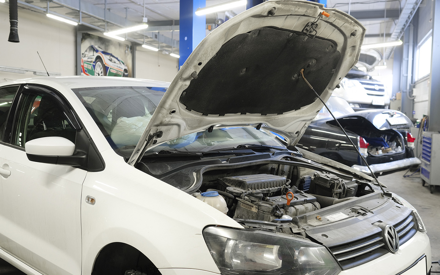 Фото: Vereshchagin Dmitry / Shutterstock / FOTODOM