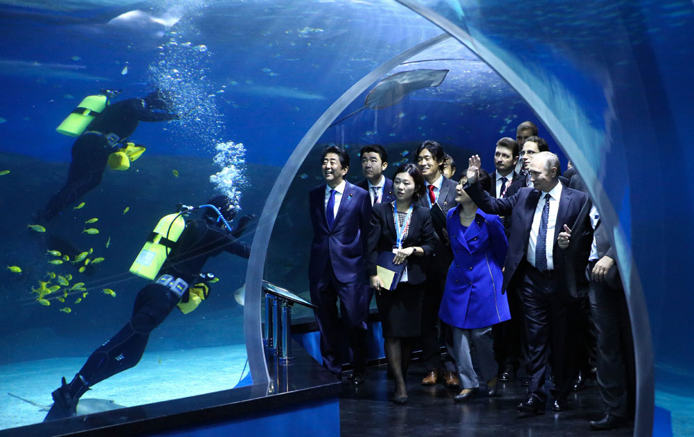 Президент РФ Владимир Путин, президент Южной Кореи Пак Кын Хе и премьер-министр Японии Синдзо Абэ (справа налево на первом плане) во время посещения Приморского океанариума на острове Русский&nbsp;