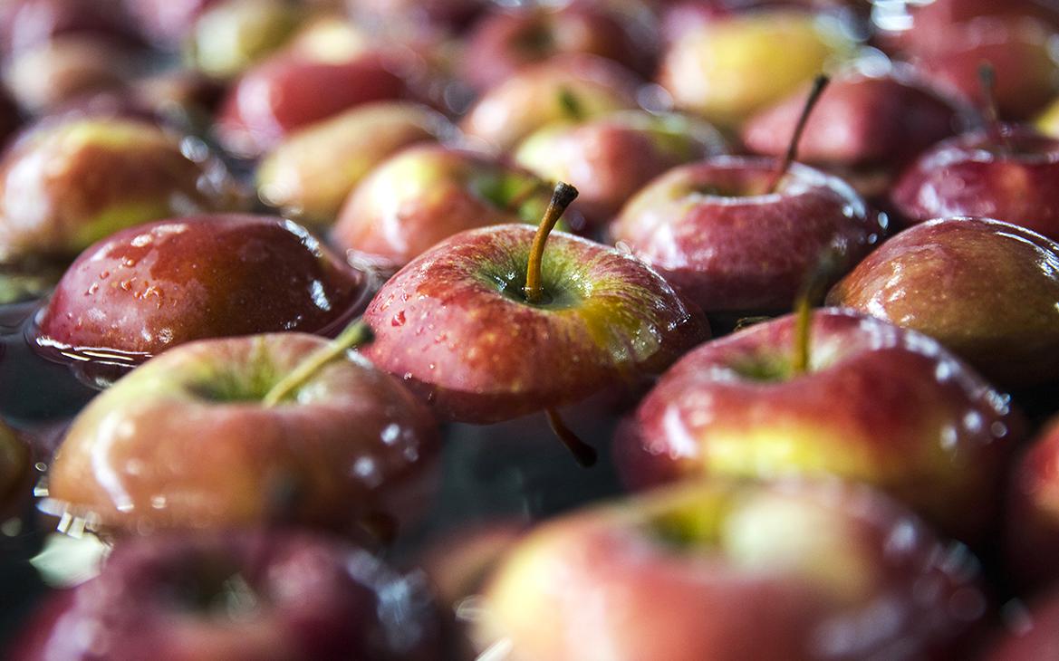 В «Абрау-Дюрсо» сообщили о тренде в Китае на сидр и российские яблоки