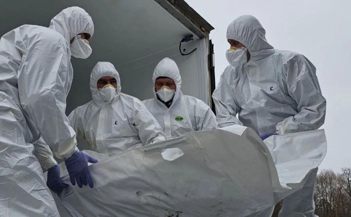 vr_medinskiy / Telegram