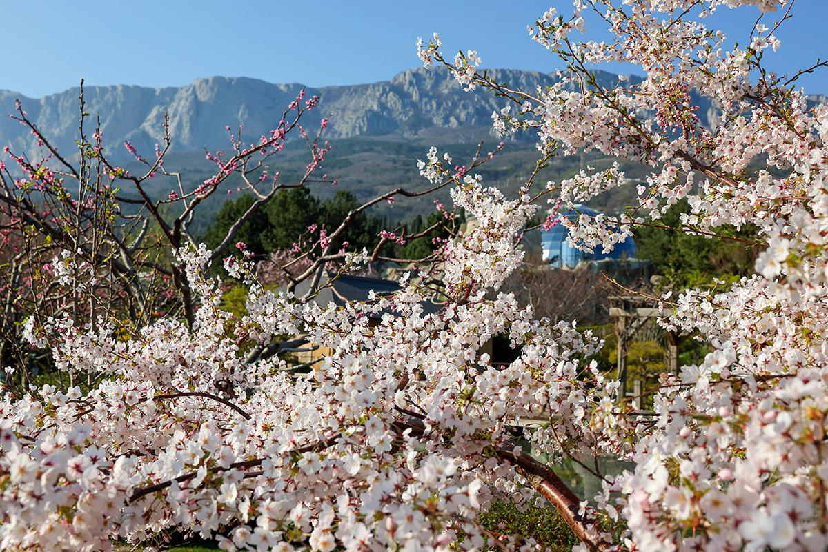 Японский сад «Шесть чувств» в Крыму