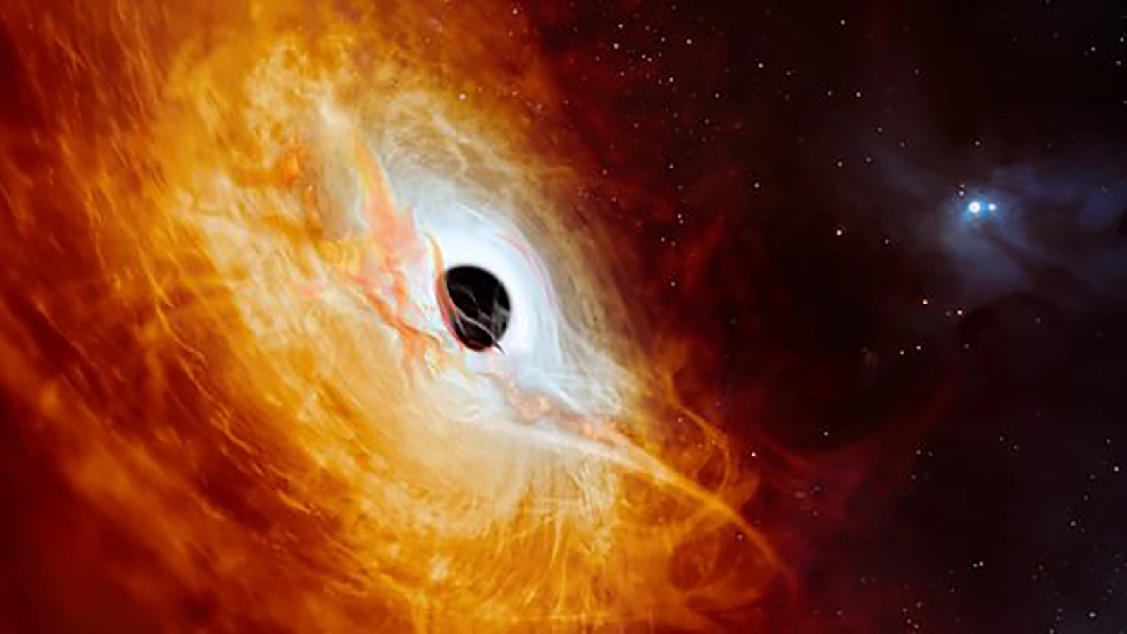 Hd корольдік минет видео