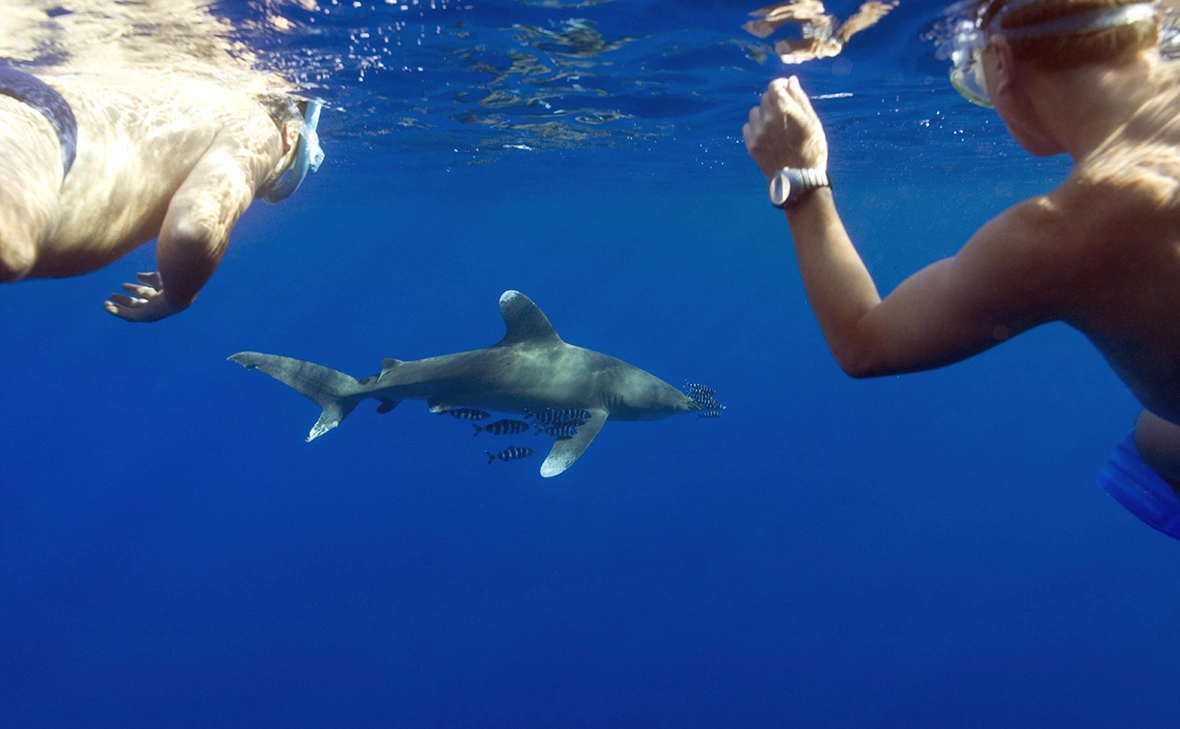 AIC / imagebroker.com / Global Look Press