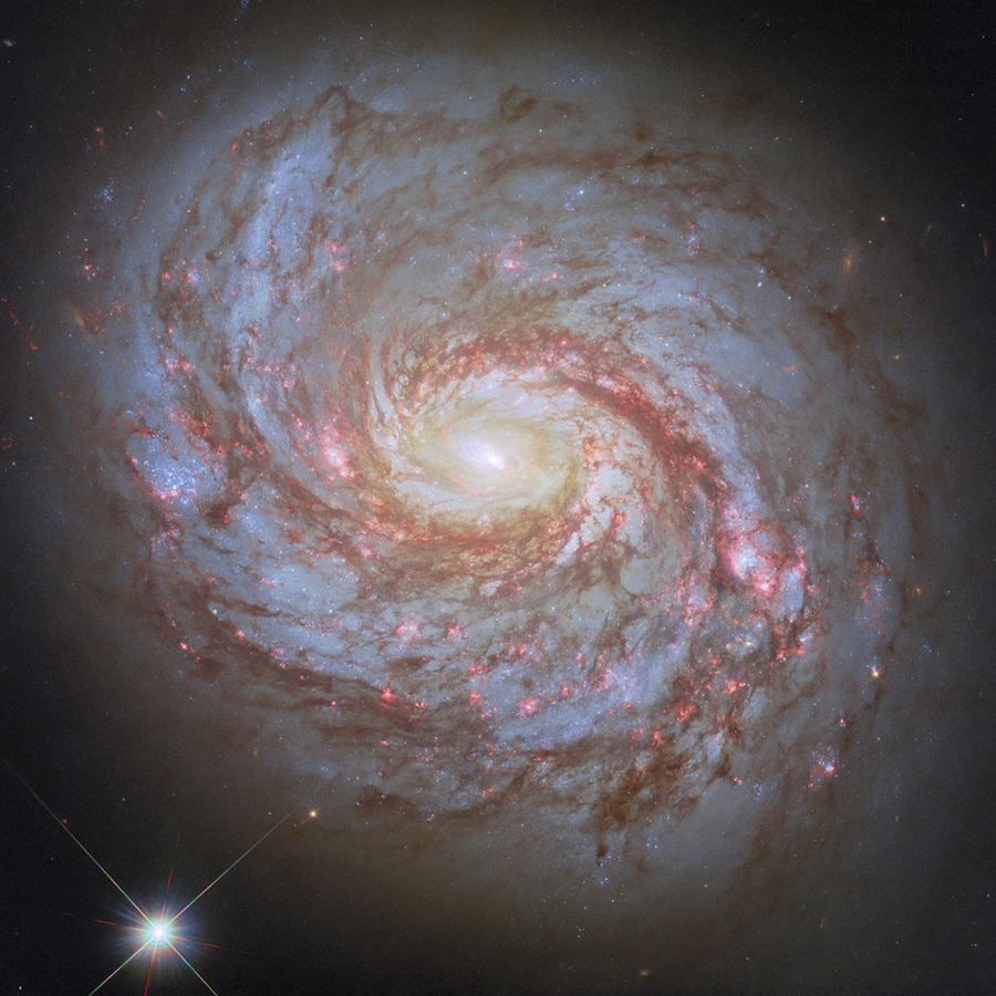 Еще одно фото галактики Мессье 77, названной в честь французского астронома Шарля Мессье. Однако ее открытие принадлежит не ему, а другому французу, Пьеру Мешену, и относится к 1780 году. Мессье 77 находится на расстоянии 45 млн световых лет в созвездии Кита