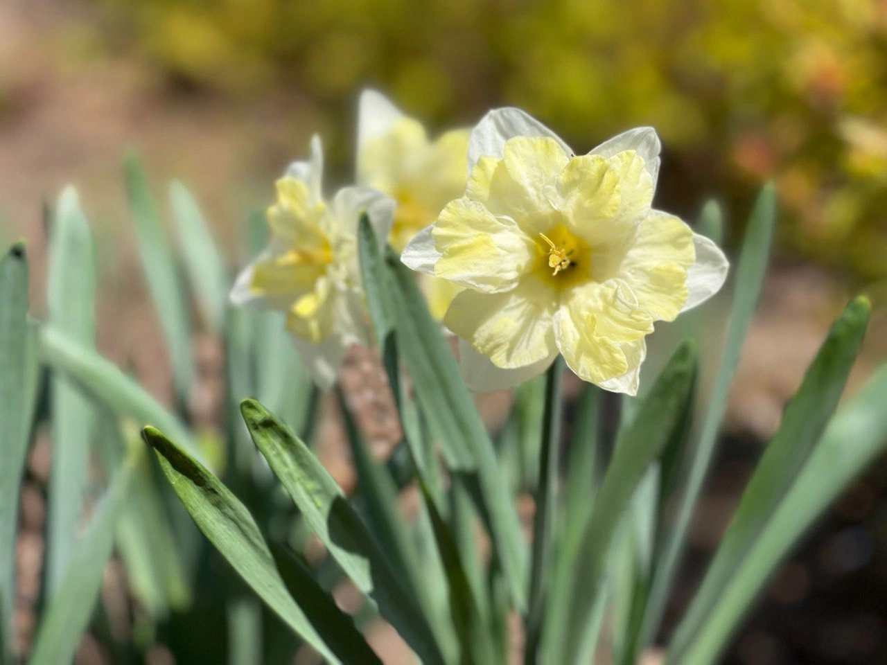 РБК Приморье