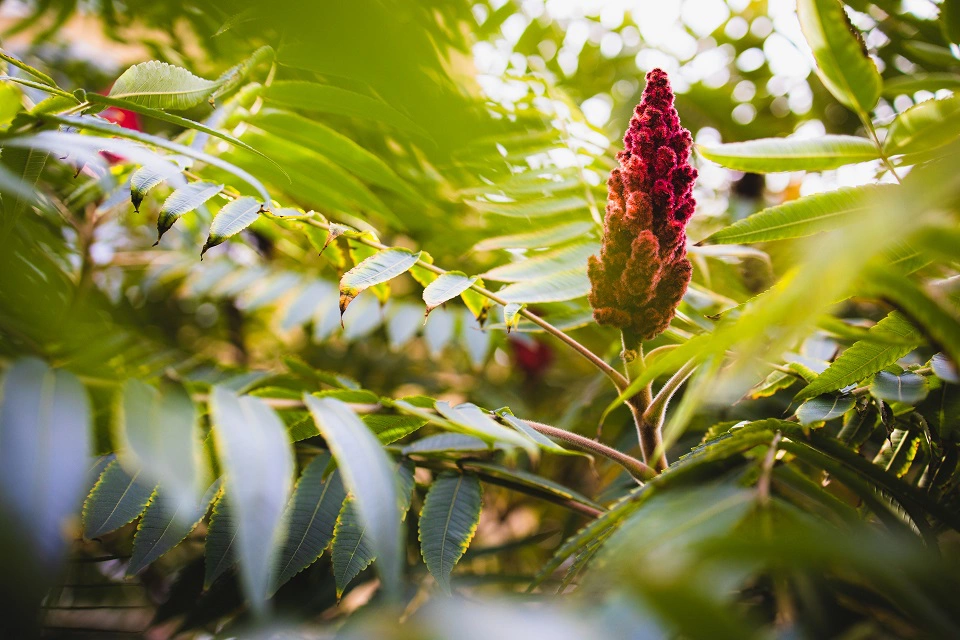 Александр Подгорчук