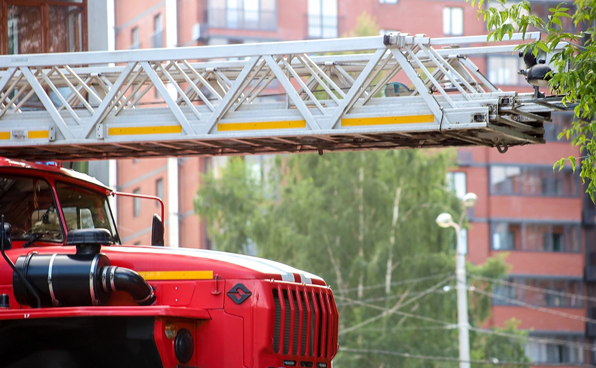 Елена Майорова / Global Look Press