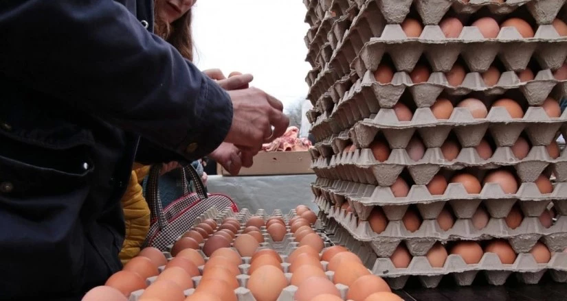 Пресс-центр мэрии Новосибирска