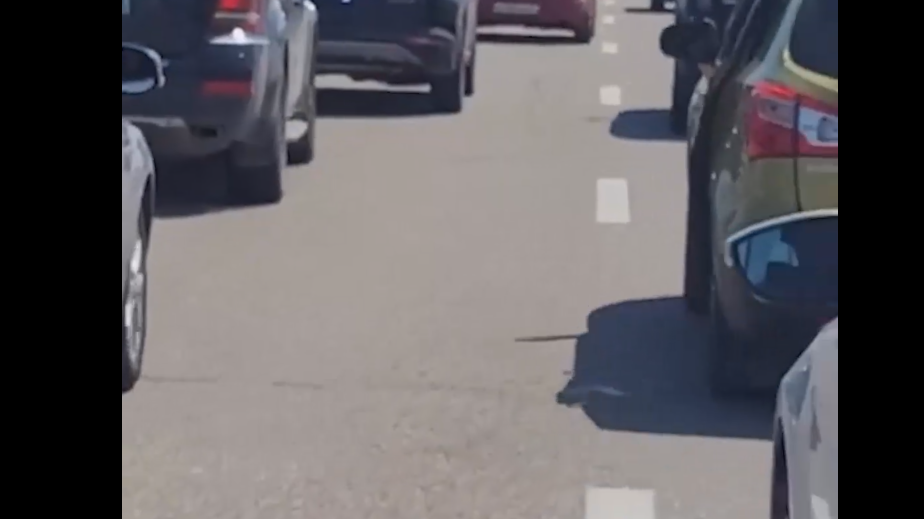 «Очень много наглецов». Очевидцы — об огромной пробке на Крымском мосту