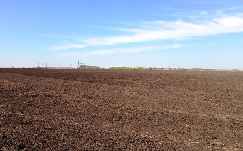 Фото: РБК Черноземье