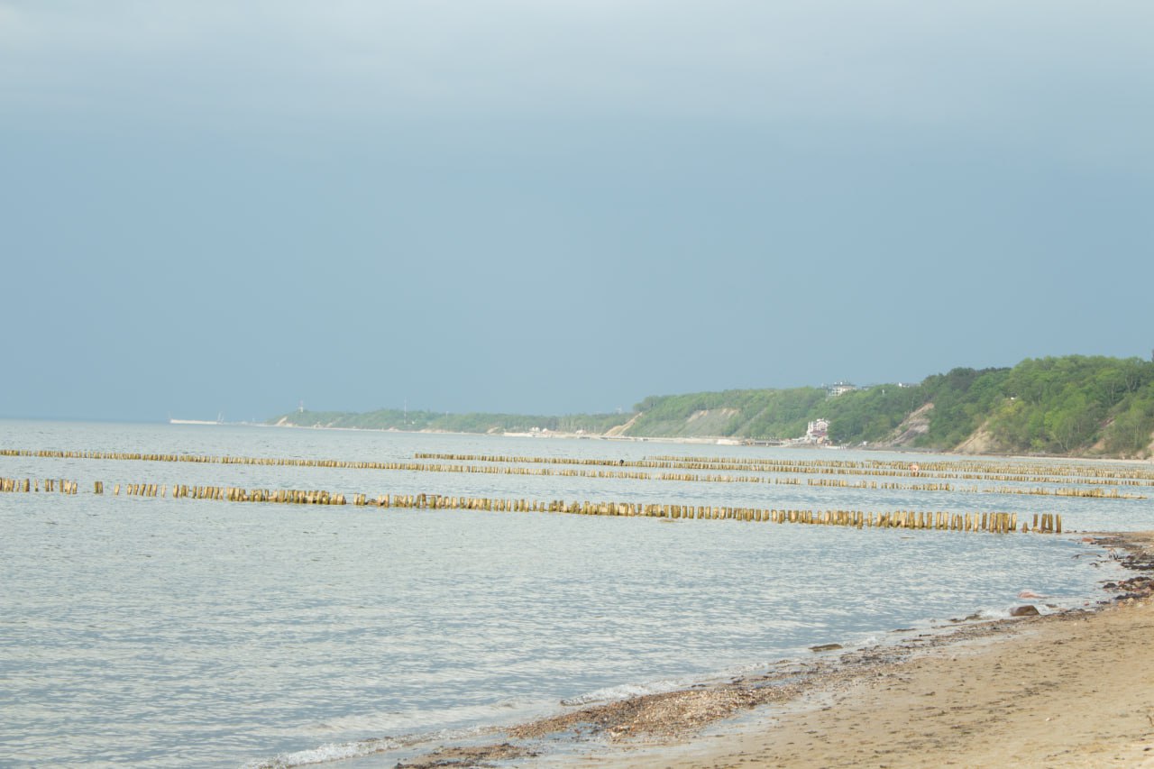 Фото: Надежда Будрина