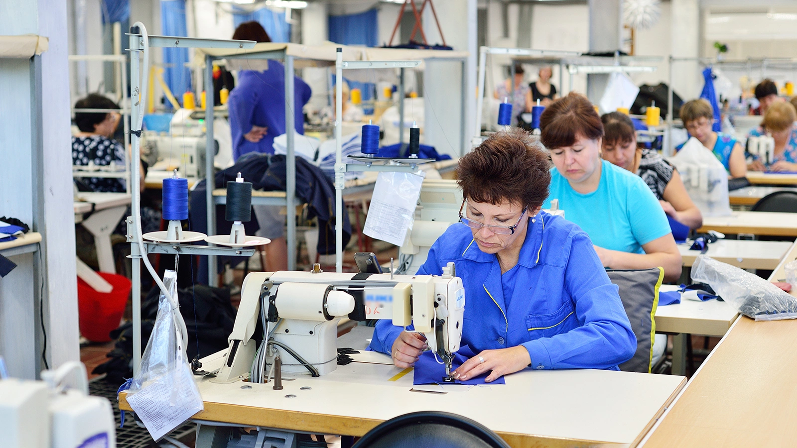 Роструд назвал пять самых востребованных специальностей в России