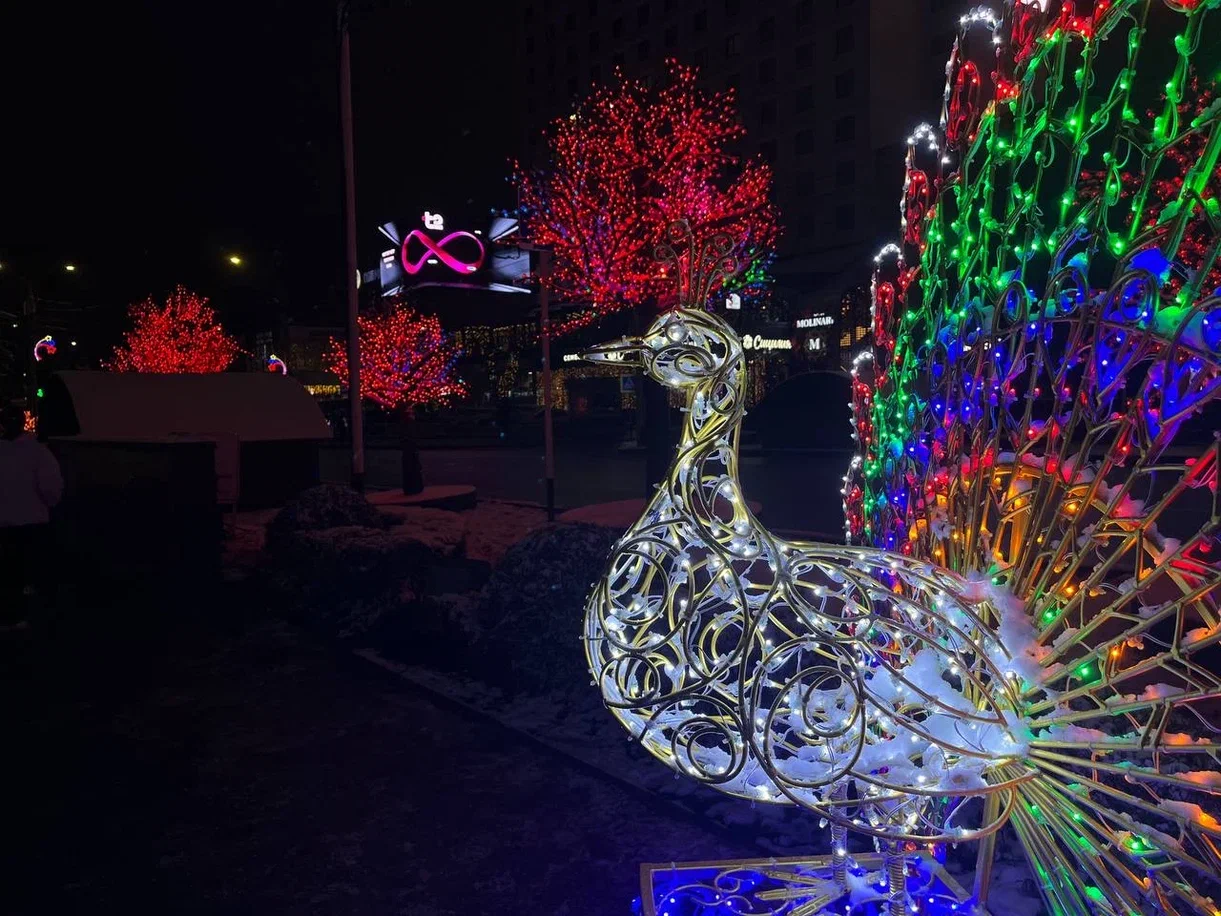 Фото: Кристина Немцова, РБК Кавказ, Ставрополь