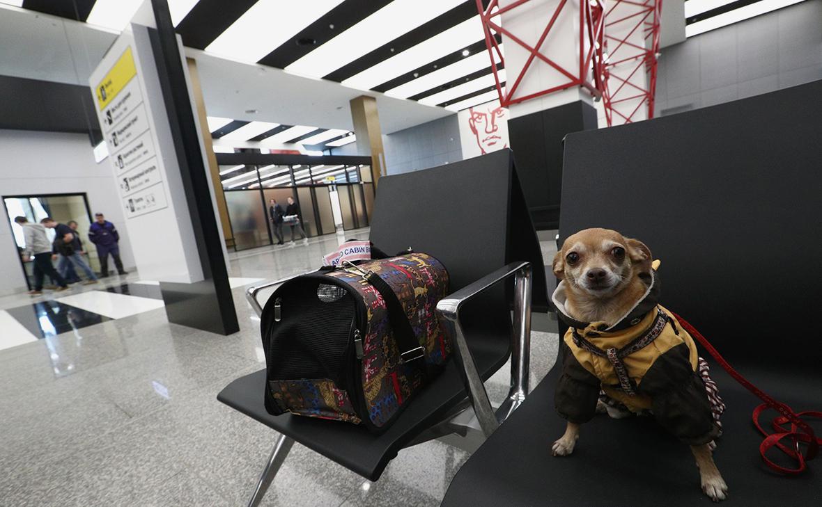 Фото: Андрей Любимов / РБК