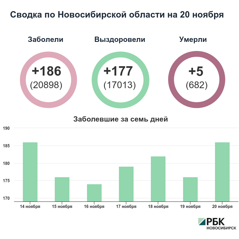 Коронавирус в Новосибирске: сводка на 20 ноября