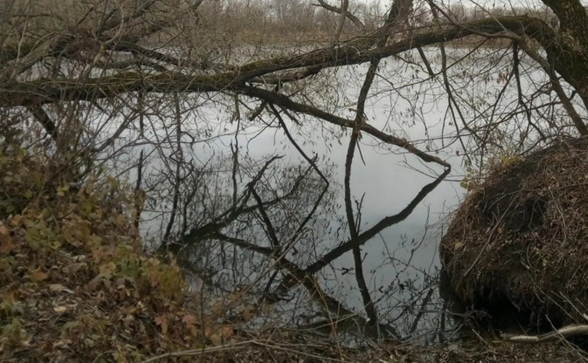 РБК Черноземье