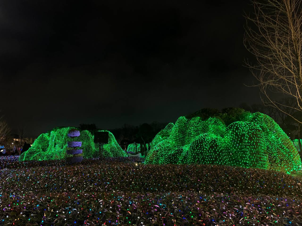 Фото: РБК Краснодар