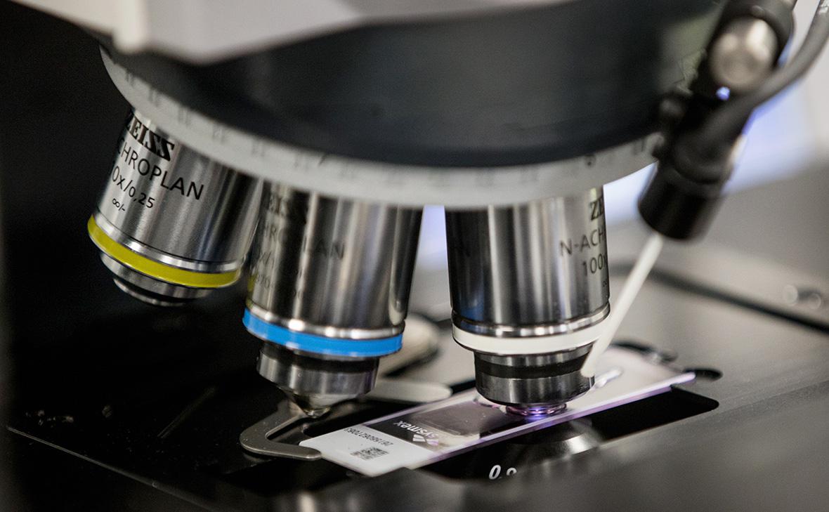 Фото: Сергей Бобылев / ТАСС