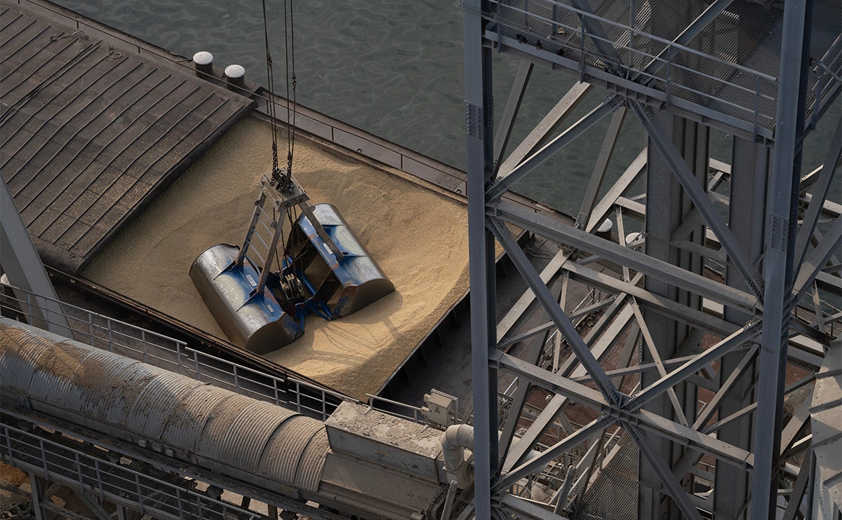 Andreea Campeanu / Getty Images