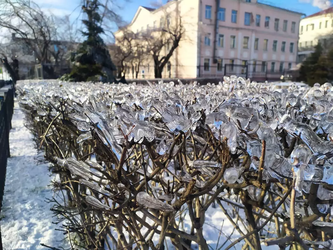 РБК Приморье