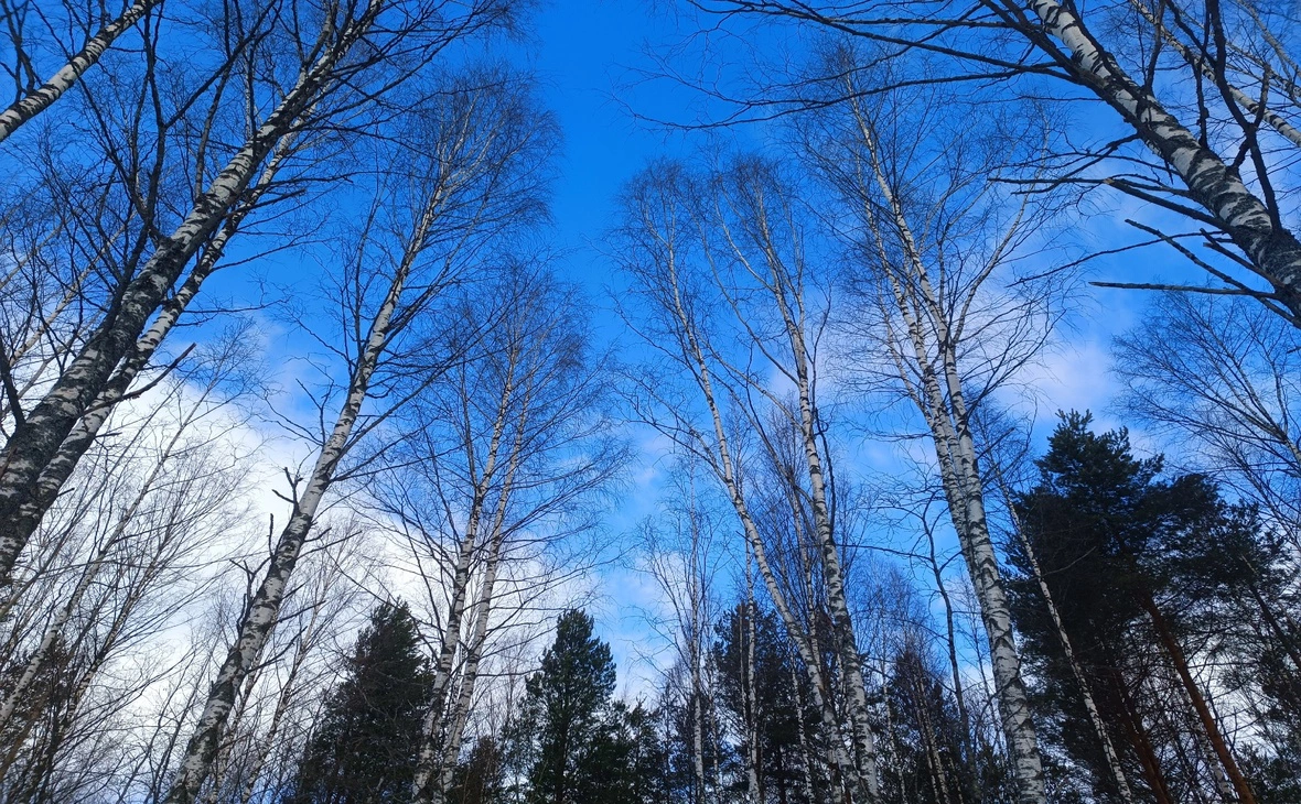 Карельский ЦГМС / vk.com