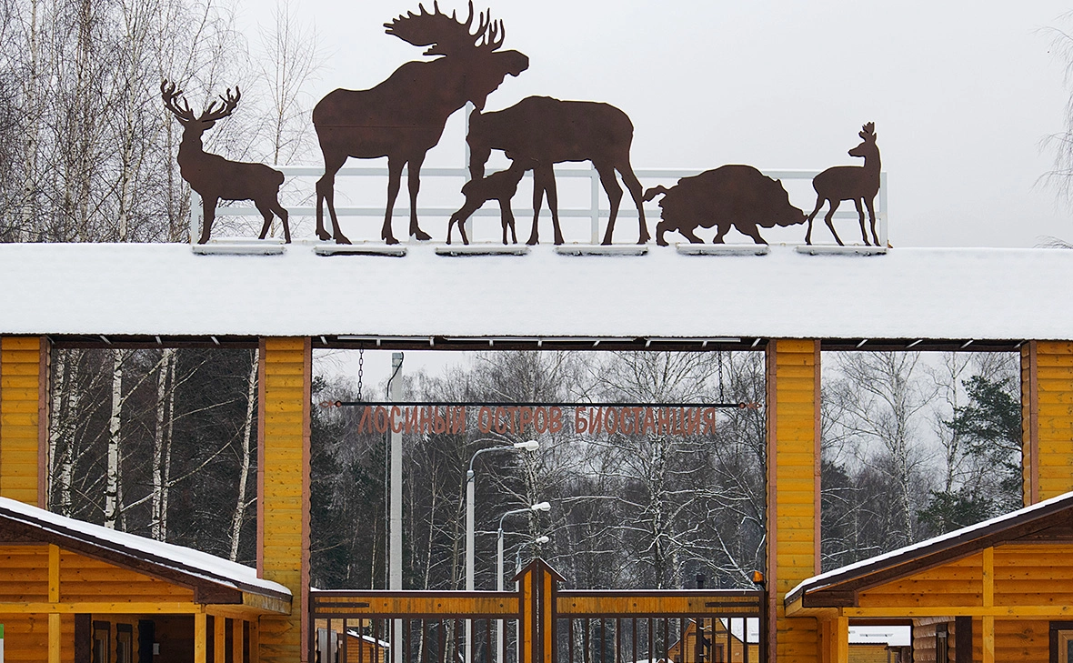 Анастасия Диева / ТАСС