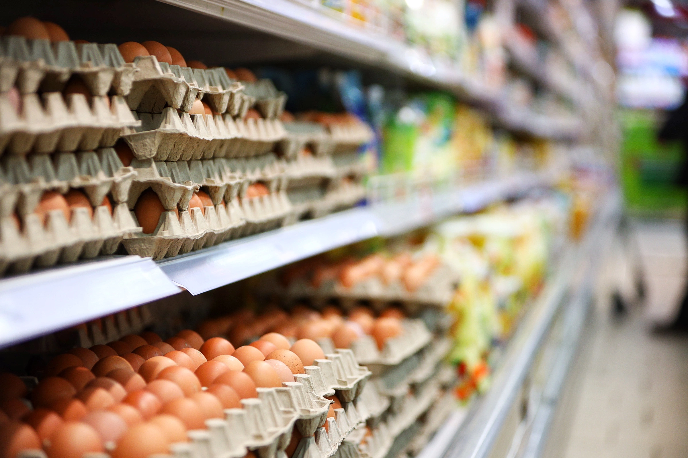 Александр Подгорчук