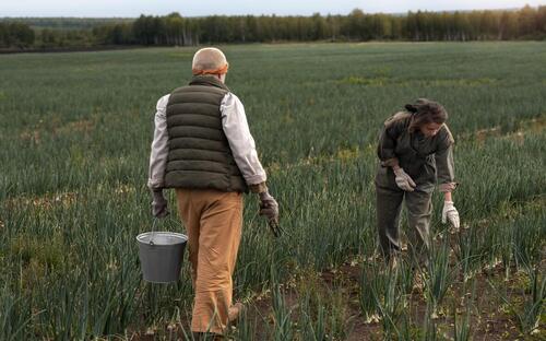 Фото: ru.freepik.com