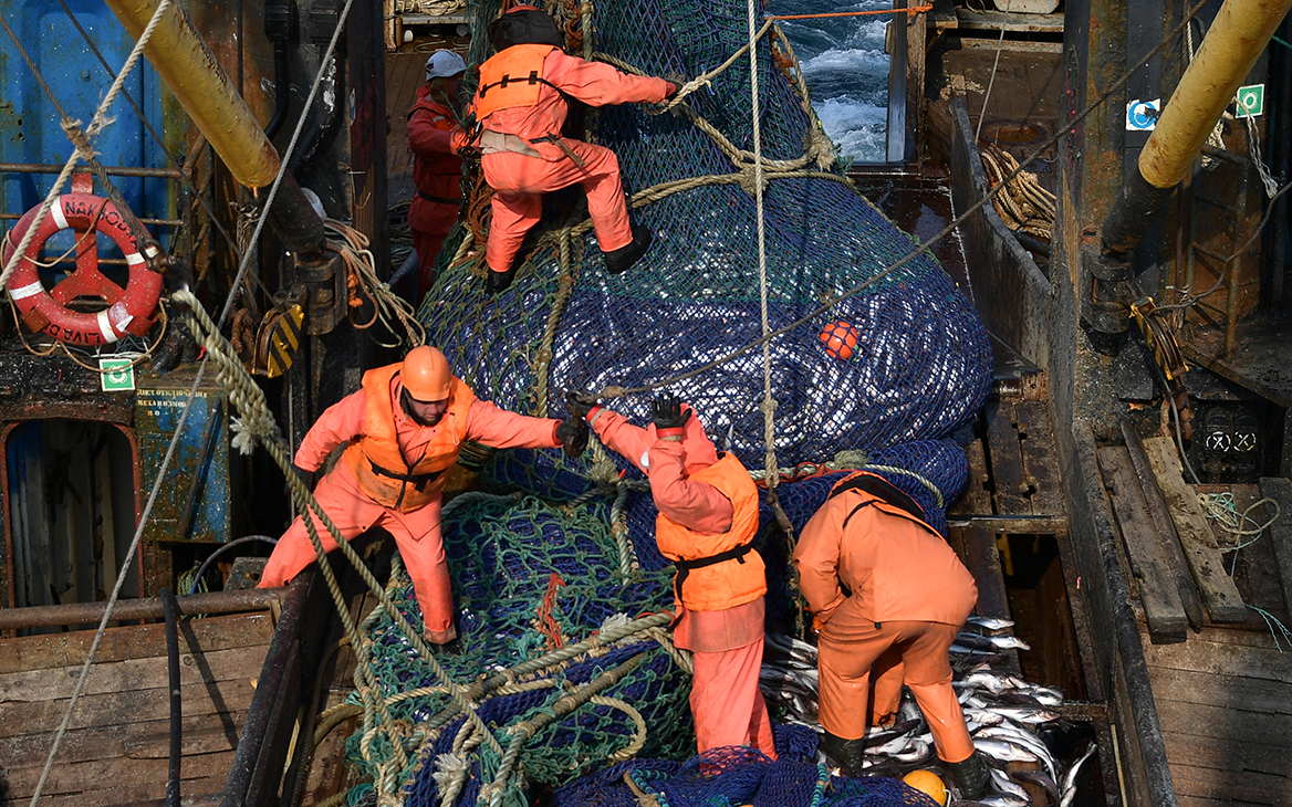 Рыбаки предупредили о сложностях с замещением импортного лосося и тунца