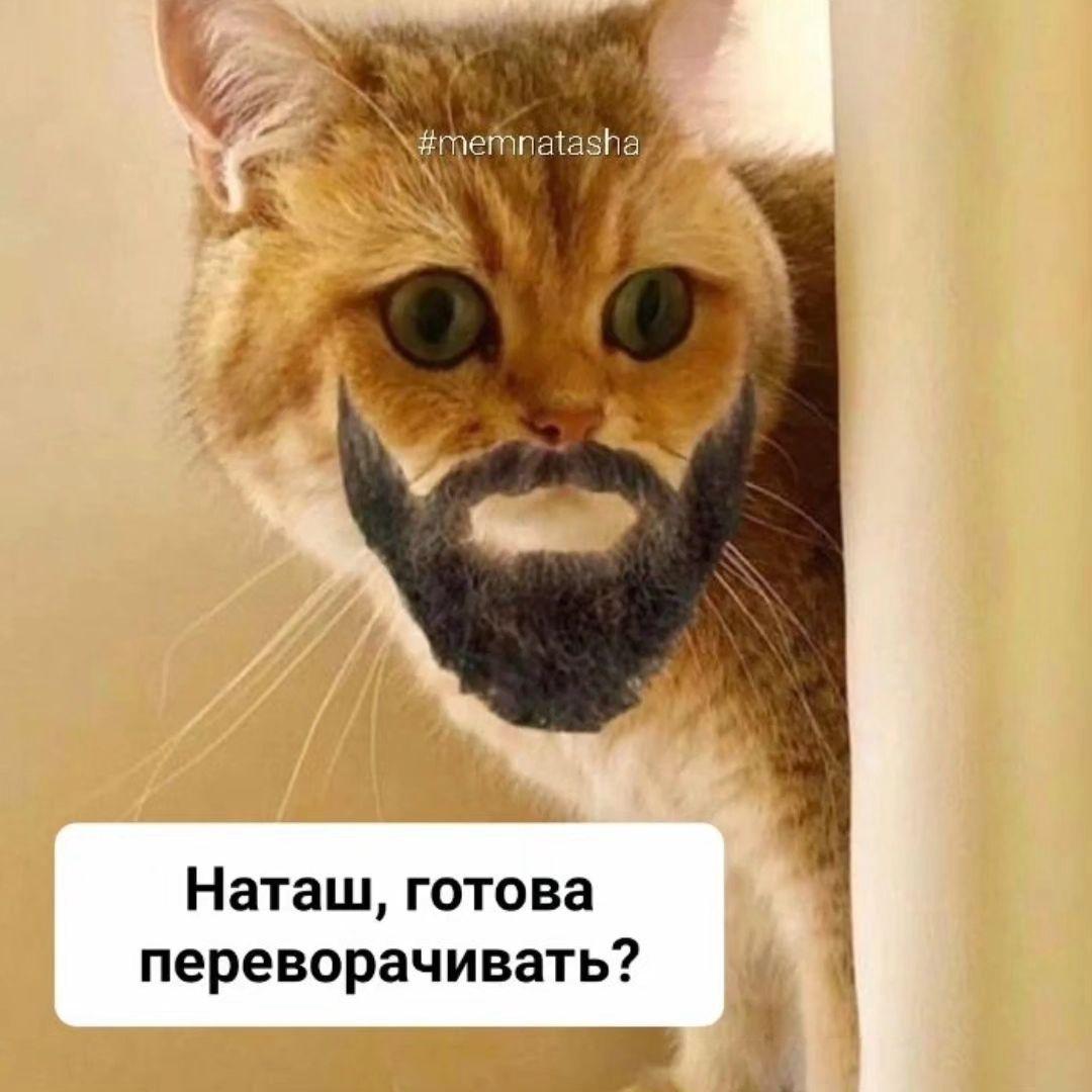 Фото: memnatasha/Instagram (принадлежит Meta, компания признана экстремистской и запрещена в России) 
