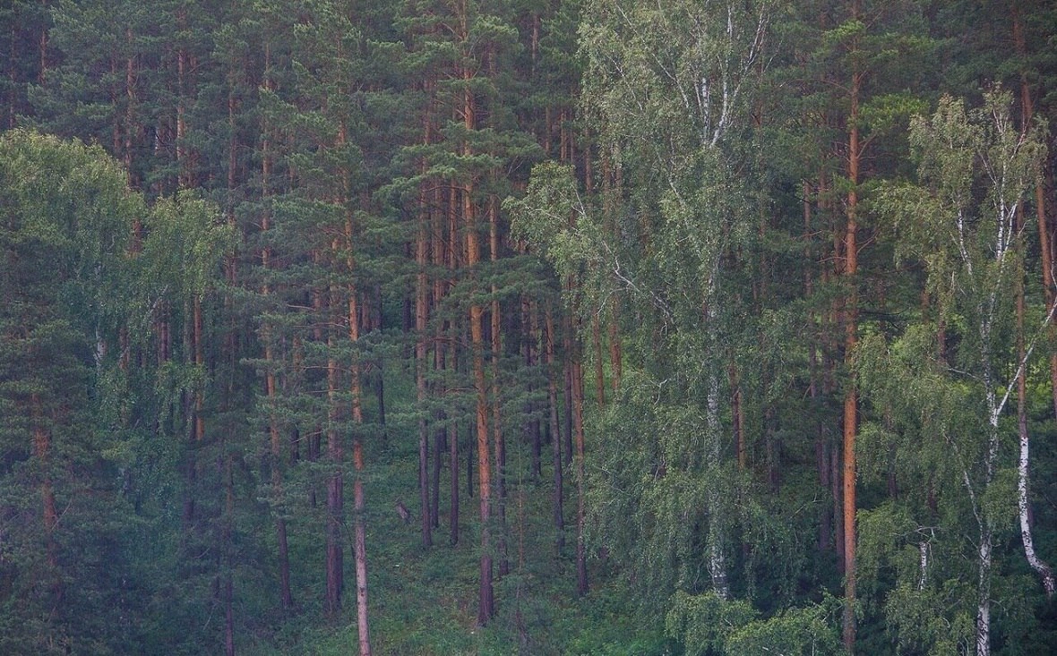 РБК Уфа