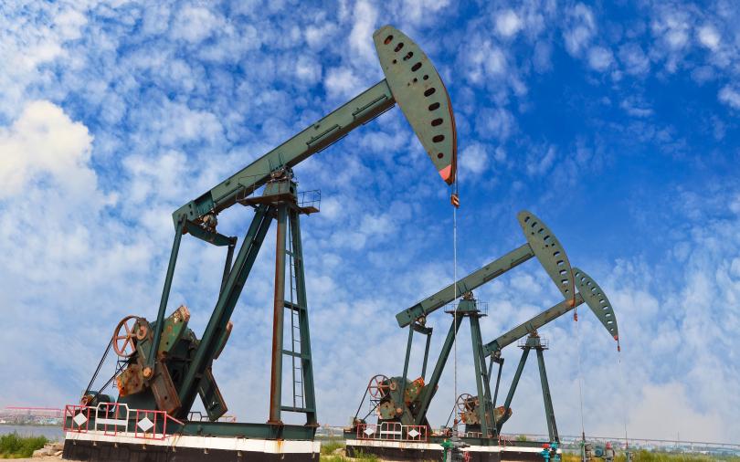 Фото: Shutterstock