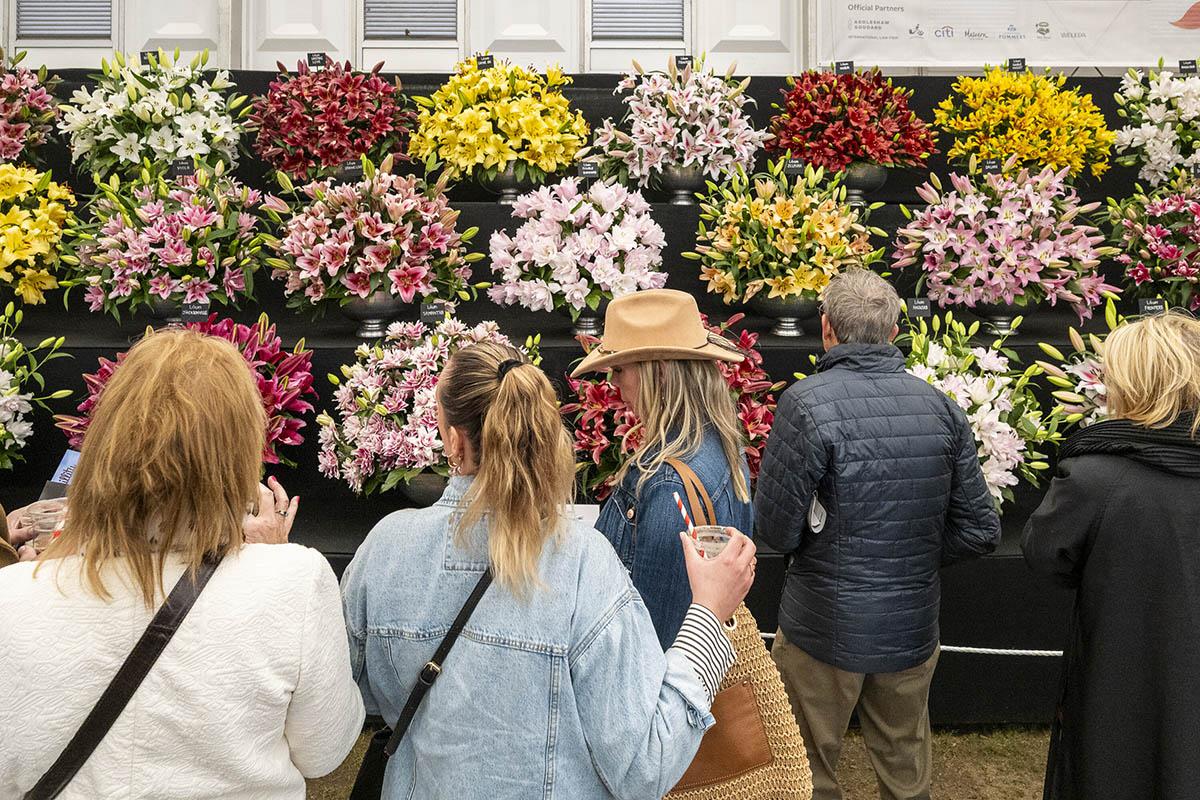 Выставка цветов RHS Chelsea Flower Show 2026 – Лондон, Великобритания