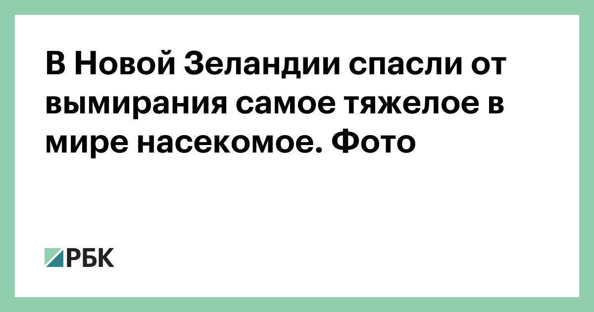 В Новой Зеландии спасли от вымирания самое тяжелое в мире насекомое. Фото