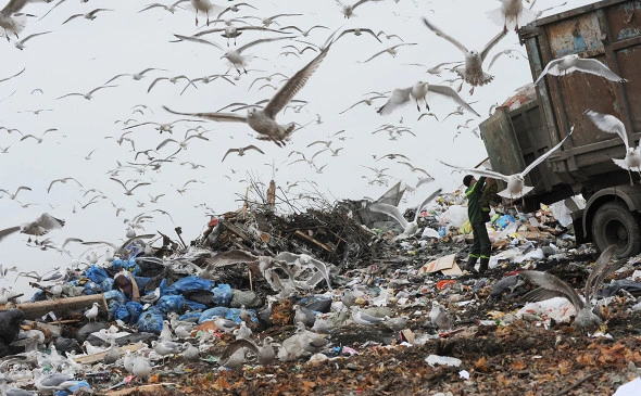 Сергей Ермохин / РИА Новости 