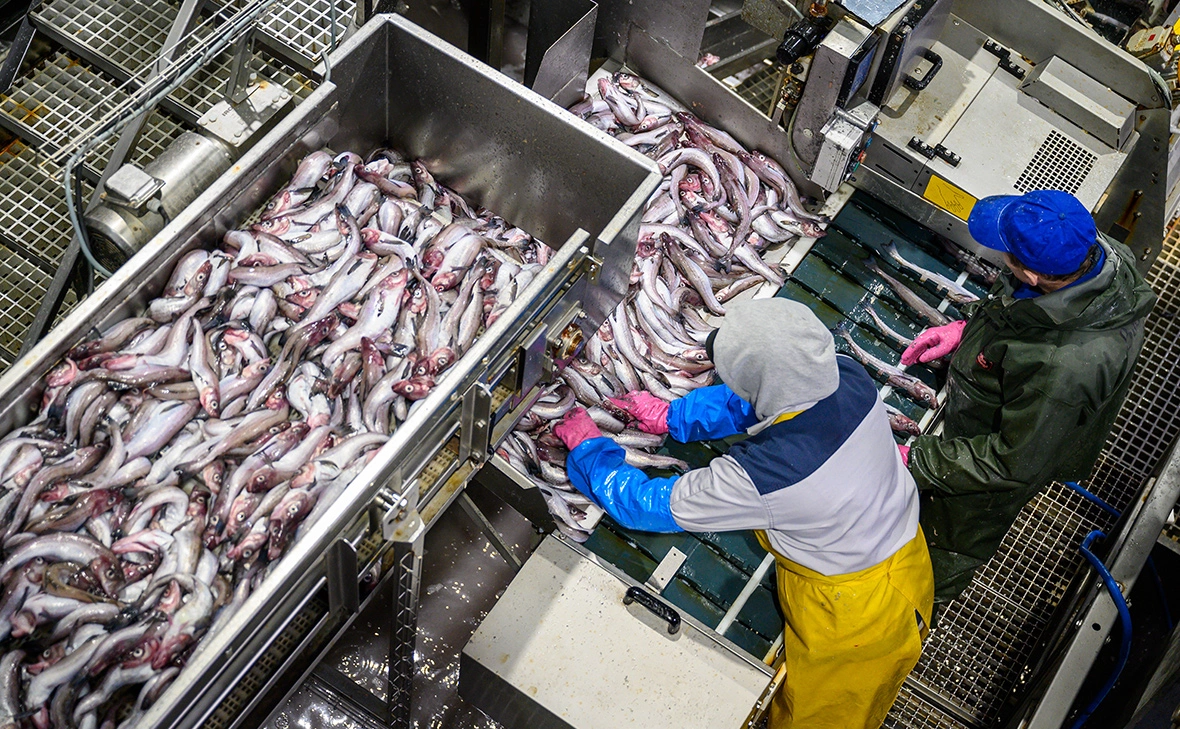 Сергей Красноухов / РИА Новости