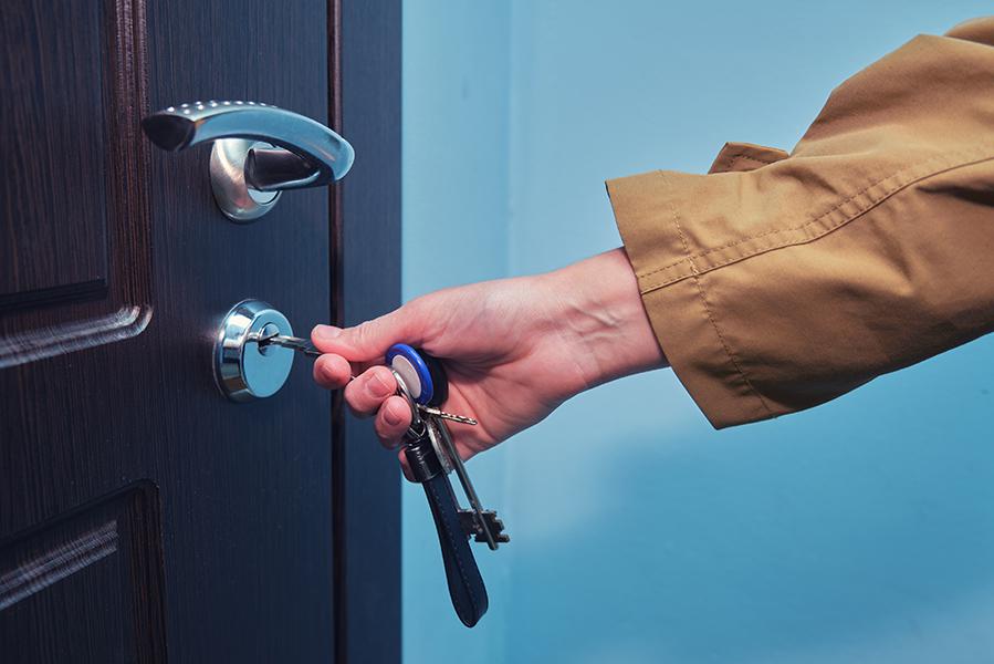 Zhuravlev Andrey / Shutterstock