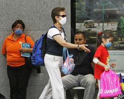 НИИ гриппа: У людей нет иммунитета к вирусу "свиного гриппа"
