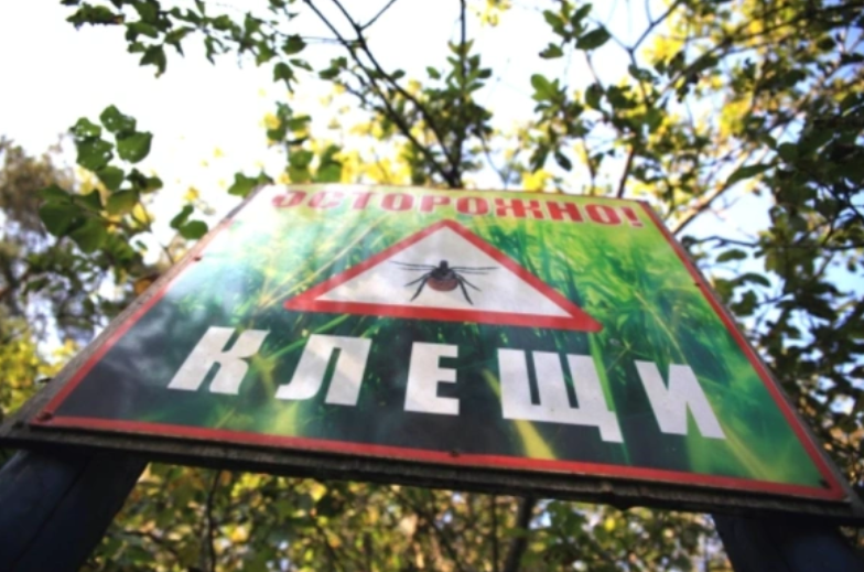 Саенко Александр / PhotoXPress.ru