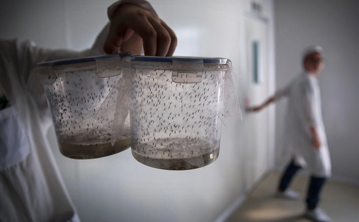 Kevin Frayer / Getty Images