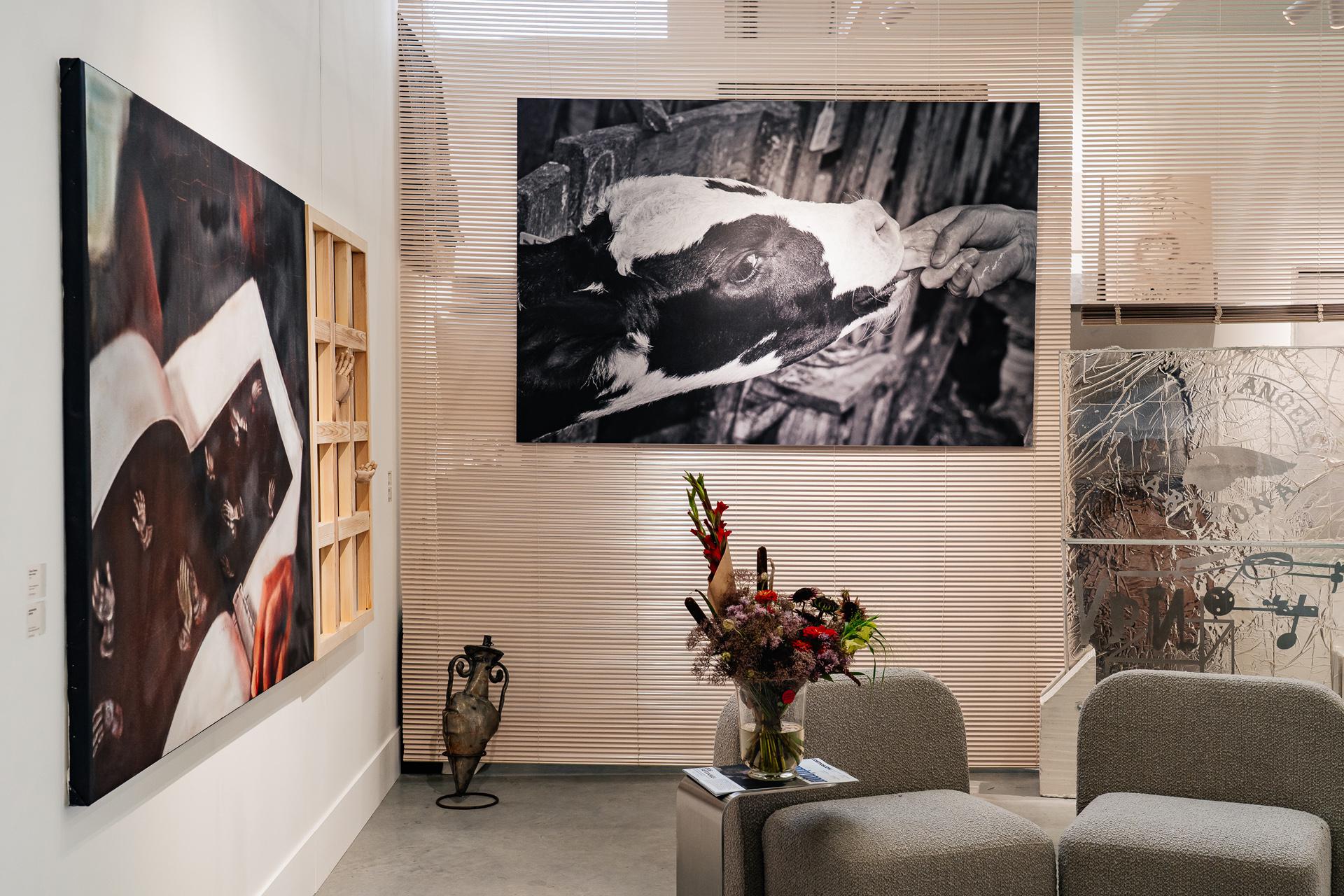 Стенд галереи fābula