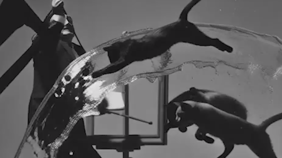 Мобильную «Алису» научили оживлять фото с любыми сюжетами