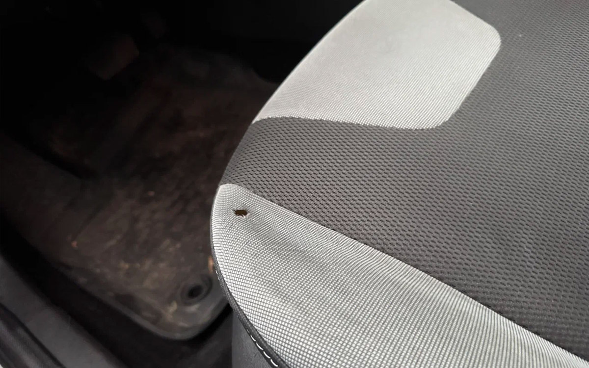 Ford Focus седан