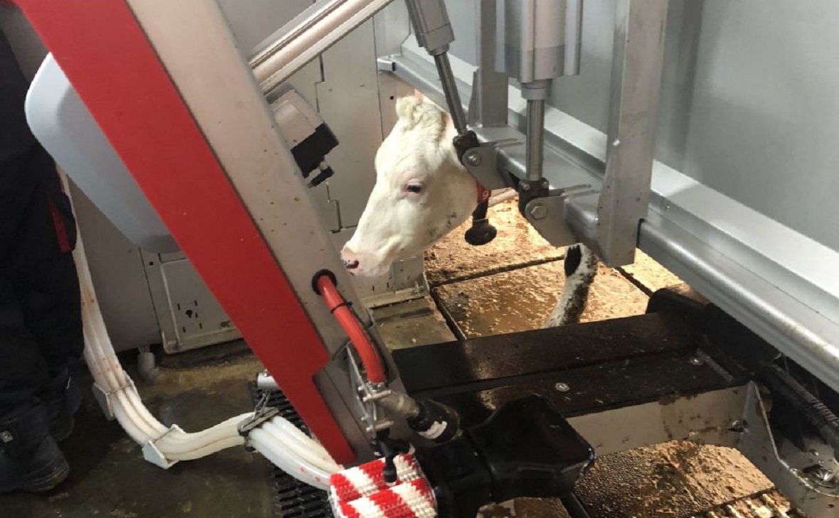 Фото: Минсельхоз РБ