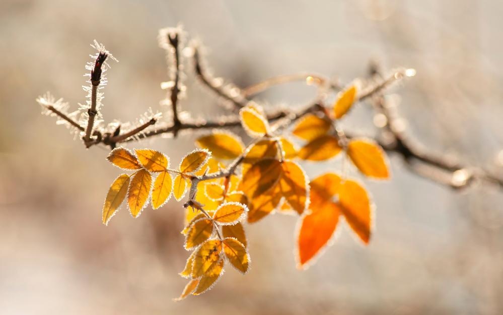 Фото: Shutterstock