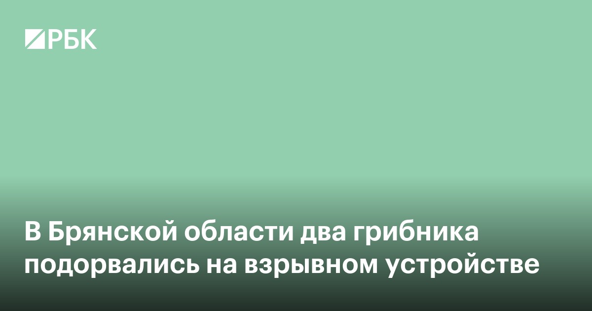 В Брянской области два грибника подорвались на взрывном устройстве