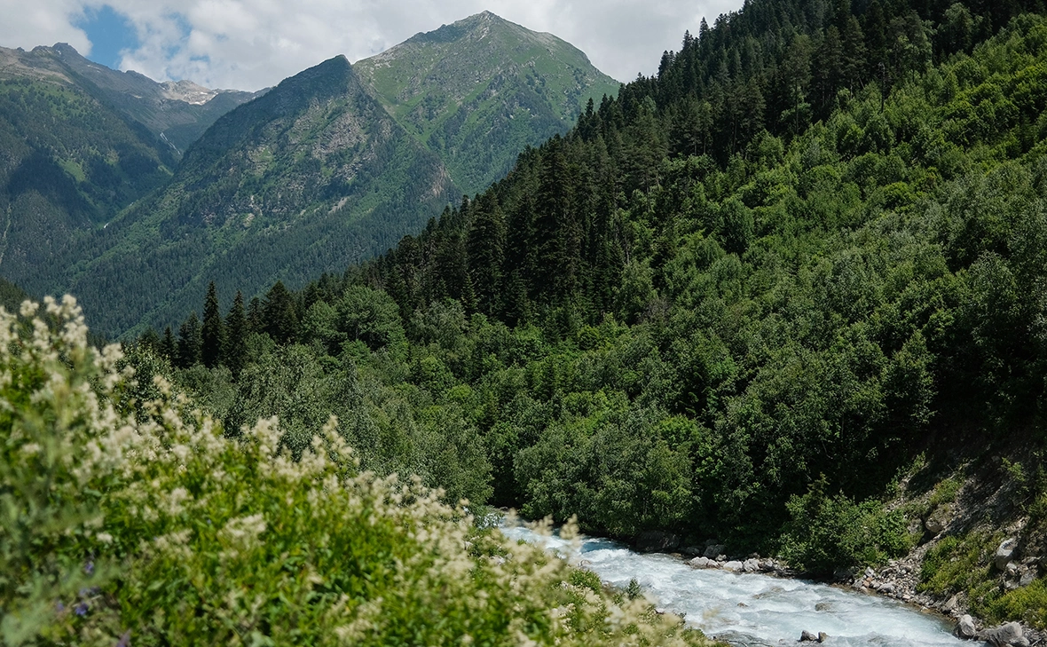 Николай Хижняк / ТАСС