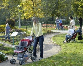 В Северную столицу все-таки приходит лето